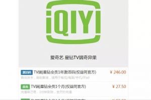 躺赚项目之 VIP 共享账号网站如何月赚 10 万元?