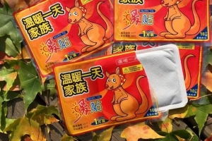 暖贴项目,玩法核心秘诀升级,带你月赚 10000+