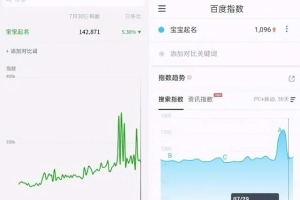 揭秘抖音,快手给宝宝起名项目,简单复制操作,认真执行可轻松月入过万