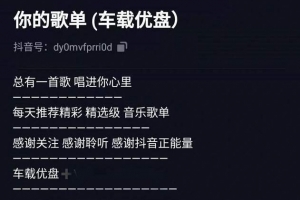 简单说说身边朋友在做的两个冷门小项目