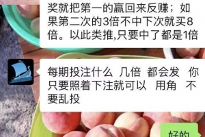 网赚套路揭秘:“无需本金,按计划下注,日工资 100”是什么套路