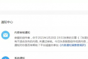 操作什么项目赚钱,揭秘 3 个热门赚钱项目