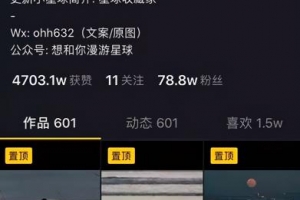 小白搬砖项目新手照样赚大钱,从引流到变现全部流水线