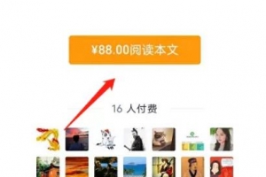 情感恋爱付费,长期持续日赚上千的项目解析