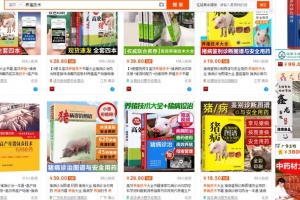 养猪养鸡养鱼不如去卖虚拟资料,居然能年入三十多万!