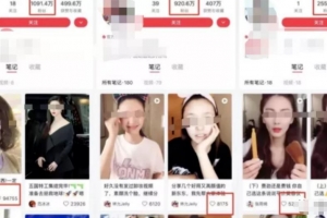 小白零基础赚钱项目,每天 10 分钟,月入 2w+