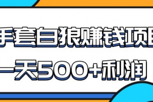某团队内部实战赚钱项目,一天 500+利润,人人可做