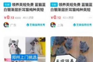 一单能赚好几百的最新闲鱼免费送冷门暴利小项目