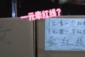 空手套白狼新项目!准备两个纸箱就能开始挣钱