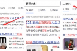 暴利的虚拟产品项目,一单赚300元