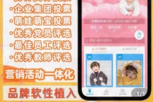 网上投票赚钱项目,靠执行力如何月入过万元?技巧分享