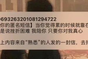 匿名短信项目,0.7元积少成多,偏冷门小众长远副业