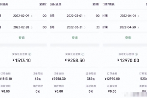 特别适合新手的实操项目,资料号引流实操变现