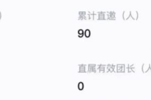 新手可操作的新风口项目思路,做的好的话日入1000+,趁知道的人少赶紧做!