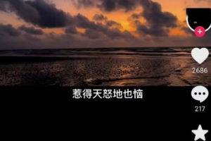 音乐推广项目,简单粗暴,一天300+