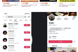 魔术教学虚拟项目思路:此项目被很多人忽视,后端变现真的很强悍!