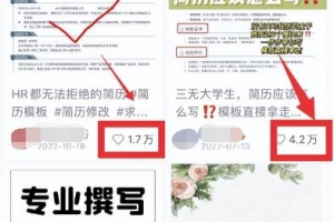 虚拟服务类项目,操作简单,日赚500+!