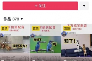 爆火的方言搬砖项目,闷声发大财2023生意经!