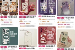 低成本副业卖手机壳项目思路,做的好轻轻松松年入10W,玩法无私分享给你!