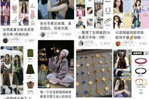 小红书电商无货源项目思路,从开店到选品的一些玩法,无私分享给你!