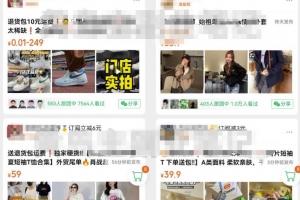 快团团卖货项目副业思路,选品操作轻松月入过万,玩法无私分享给你