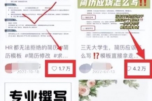 虚拟服务类项目,操作简单,日赚500+