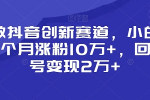靠做抖音创新赛道,小白也能一个月涨粉10万+,回收账号变现2万+