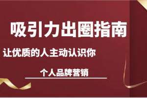 吸引力出圈指南-让优质的人主动认识你-个人品牌营销(13节课)