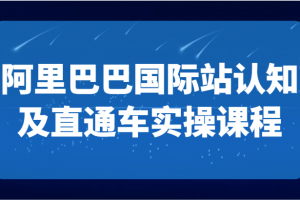 阿里巴巴国际站认知及直通车实操课-国际地产逻辑、国际站运营定位、TOP商家运营思路