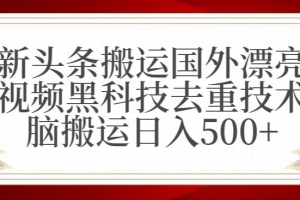 最新头条搬运国外漂亮美女视频黑科技去重技术无脑搬运日入500+