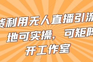 不卖货利用无人直播引流视频教程,地可实操,可矩阵,可开工作室