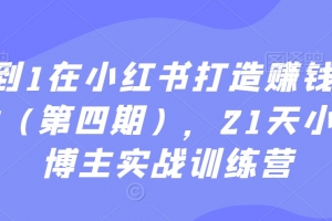 从0到1在小红书打造赚钱的个人IP(第四期),21天小红书博主实战训练营