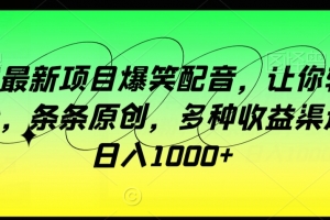 龙年最新项目爆笑配音,让你轻松涨粉,条条原创,多种收益渠道,日入1000+