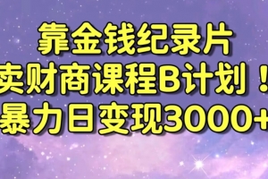 财经纪录片联合财商课程的变现策略,暴力日变现3000+,喂饭级别教学