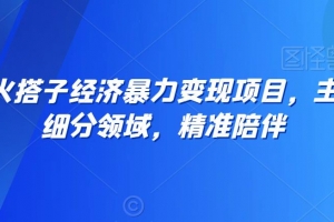 全网最火搭子经济暴力变现项目,主打垂直细分领域,精准陪伴