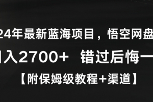 2024年最新蓝海项目,悟空网盘拉新,日入2700+错过后悔一年【附保姆级教程+渠道】