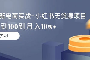2024全新电商实战-小红书无货源项目:从0到1到100到月入10w+