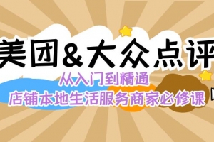 美团+大众点评 从入门到精通:店铺本地生活 流量提升 店铺运营 推广秘术 评价管理