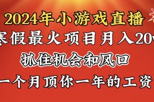 2024年寒假爆火项目,小游戏直播月入20w+,学会了之后你将翻身