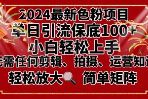 2024最新换脸项目,小白轻松上手,单号单月变现3W+,可批量矩阵操作放大