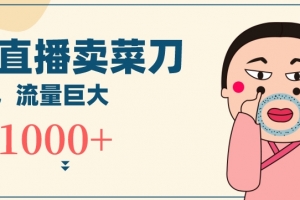 无人冷门品直播新玩法,通过卖菜刀日入1000+