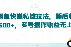 闲鱼快递私域玩法,睡后收益500+,多号操作收益无上限