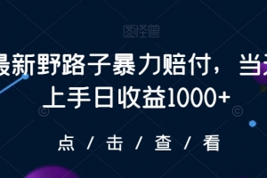 最新野路子暴力赔付,当天上手日收益1000+【仅揭秘】