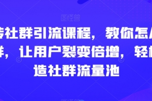 玩转社群引流课程,教你怎么玩社群,让用户裂变倍增,轻松打造社群流量池
