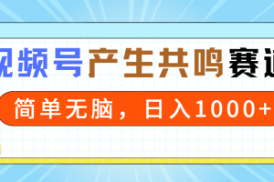2024年视频号,产生共鸣赛道,简单无脑,一分钟一条视频,日入1000+