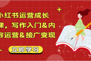 小红书运营成长课,写作入门&内容运营&接广变现【文档】