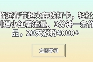 临近春节超火存钱打卡,轻松引爆小红薯流量,3分钟一条作品,20天涨粉4000+