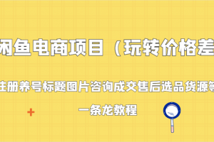闲鱼电商项目(玩转价格差):注册养号标题图片咨询成交售后选品货源等,一条龙教程