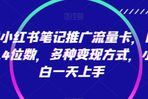靠小红书笔记推广流量卡,日入4位数,多种变现方式,小白一天上手