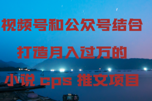 视频号和公众号结合打造月入过万的小说cps推文项目,包括市面上面的各种思路详解